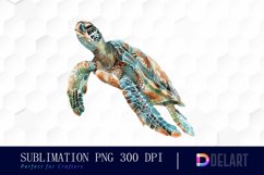 Sea Turtle PNG Clipart Product Image 1