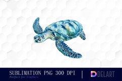Sea Turtle PNG Clipart Product Image 1