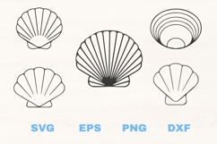 Seashells SVG collection Product Image 1