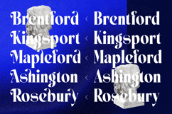 Seafibe - Modern Serif Font Product Image 6