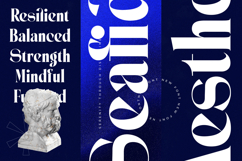 Seafibe - Modern Serif Font Product Image 8