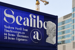 Seafibe - Modern Serif Font Product Image 16