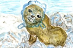 Sealion and plastic Product Image 3