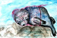 Sealion and plastic Product Image 2