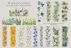 Apothecary Herbs Illustration Set Product Image 5