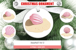 Ornament Seashell Product Image 1