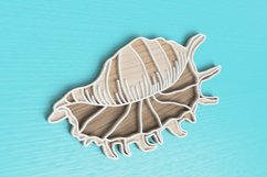 Layered Tropical Seashell Laser Cut File| Layered SVG Product Image 2