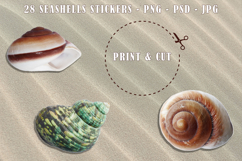 Seashells - Stickers Badges Magnets Product Image 4