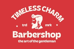 Seatren - Bold Sans Display Font Product Image 12