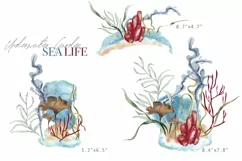 Seaweed watercolor clipart Underwater garden designs PNG Product Image 2