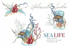 Seaweed watercolor clipart Underwater garden designs PNG Product Image 1
