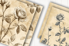 Vintage Rose Sketch Digital Paper Product Image 2