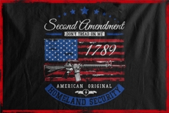 Second Amendment 1789 The American Homeland Security Product Image 2