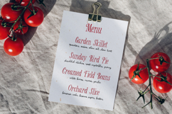 Second Mark - Organic Serif &amp; Script Product Image 10