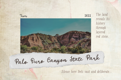 Second Mark - Organic Serif &amp; Script Product Image 5