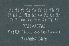 Second Mark - Organic Serif &amp; Script Product Image 6