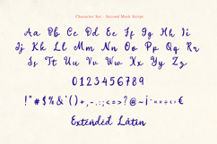 Second Mark - Organic Serif &amp; Script Product Image 8