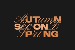 Autumn Typography Streetwear T-shirt Design Bundle Product Image 5