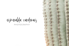 Sedona Script Product Image 2