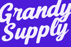 Segalecy Retro Vintage Font Duo Script Sans Product Image 2