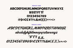 Segalecy Retro Vintage Font Duo Script Sans Product Image 6