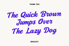 Segalecy Retro Vintage Font Duo Script Sans Product Image 7