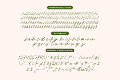 Sejatty Gartena - Aesthetic Handwritten Font Product Image 5