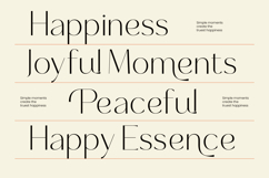Selario Elegant Modern Sans Serif Product Image 6