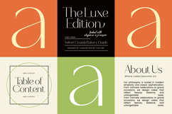 Selario Elegant Modern Sans Serif Product Image 7