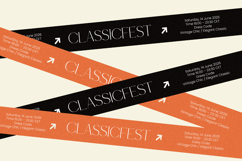 Selario Elegant Modern Sans Serif Product Image 10