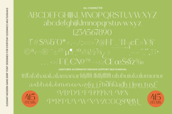 Selario Elegant Modern Sans Serif Product Image 14