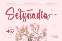 Selynadia - Bold Brush Font Product Image 1