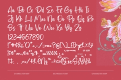 Selynadia - Bold Brush Font Product Image 18