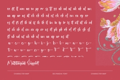 Selynadia - Bold Brush Font Product Image 19