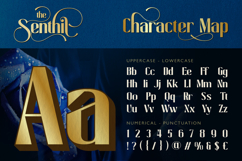 Senthil Product Image 2