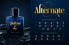 Senthil Product Image 8