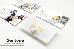 Senote Power Point Template Product Image 1