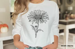 September Birth Month Flower PNG September Birth Flower Png