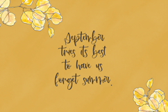 Septiembre Script Product Image 6