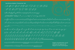 Serafiona Maleri - Elegant Handwritten Script Product Image 14