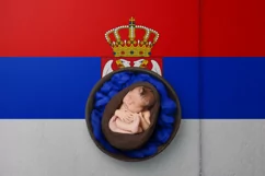 Backgrounds for Photography & Marketing. Serbia Product Image 5