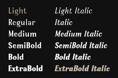 Serelia Modern Elegant Editorial Serif Family Product Image 8