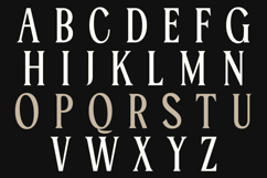 Serelia Modern Elegant Editorial Serif Family Product Image 9