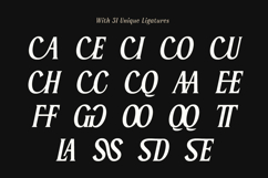 Serelia Modern Elegant Editorial Serif Family Product Image 11