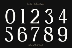 Serelia Modern Elegant Editorial Serif Family Product Image 12