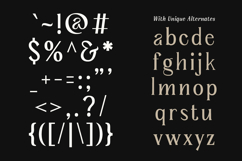 Serelia Modern Elegant Editorial Serif Family Product Image 13