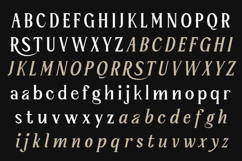 Serelia Modern Elegant Editorial Serif Family Product Image 15