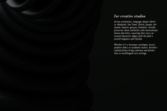 Serelia Modern Elegant Editorial Serif Family Product Image 16