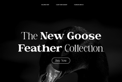 Valloria - Family Serif Font Product Image 3