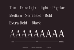 Ravella - Serif Family Font Product Image 4